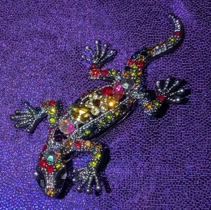 Metal Gallery lizard 🦎 brooch